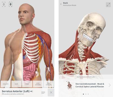 Complete anatomy platform 2020 download